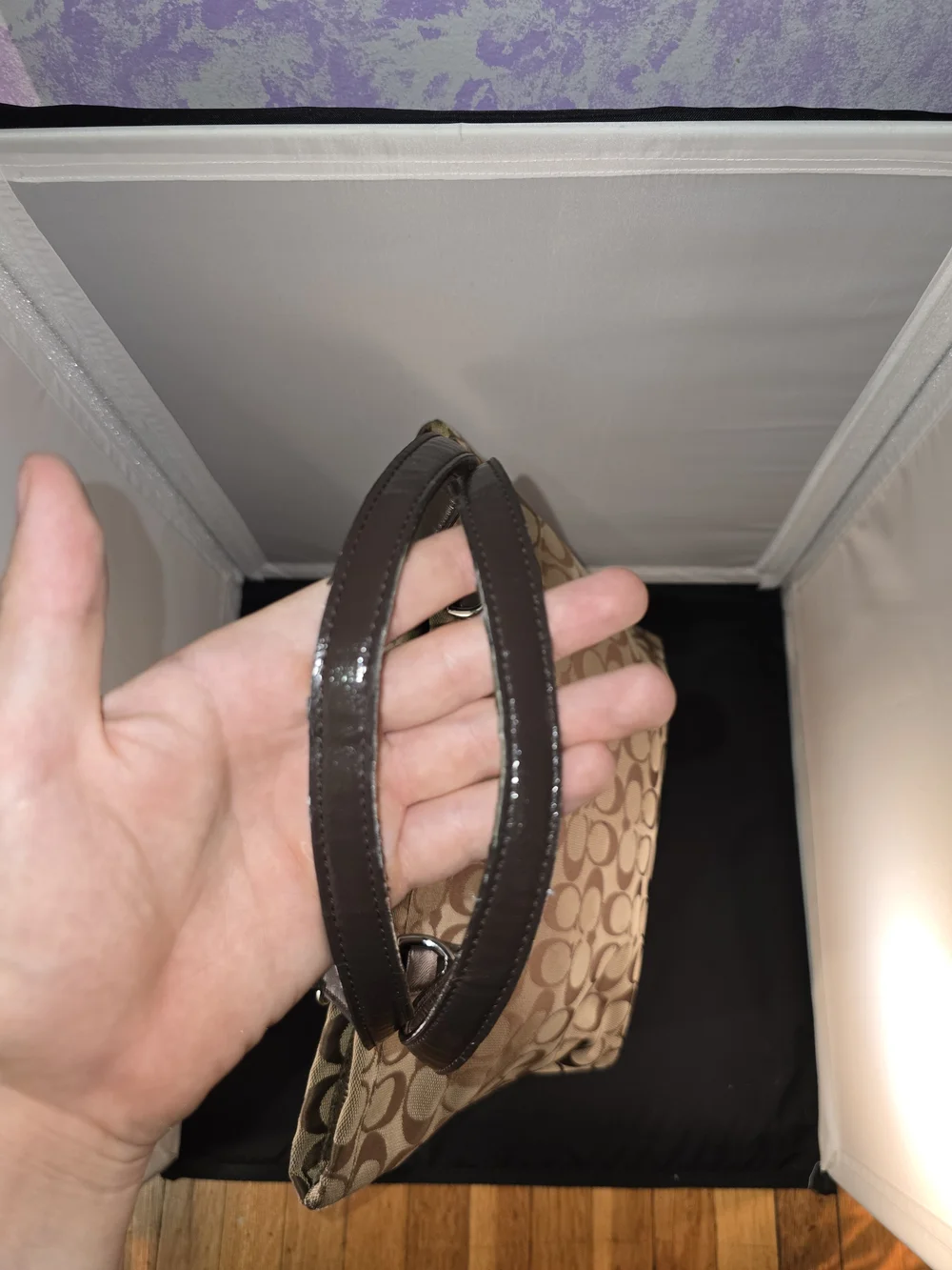 Coach Signature Canvas Tote Bag in Brown